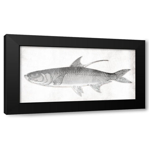 Grey Fish Black Modern Wood Framed Art Print with Double Matting by Grey, Jace
