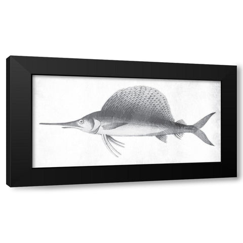 Grey Sword Fish Black Modern Wood Framed Art Print by Grey, Jace