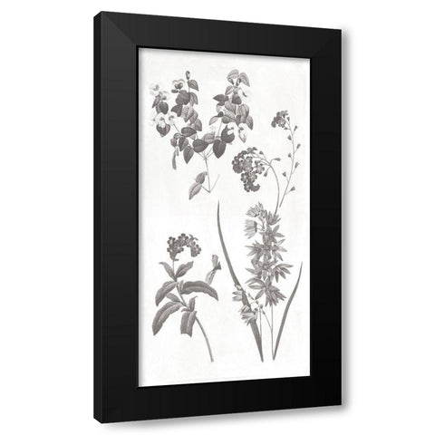Plants Black Modern Wood Framed Art Print by Grey, Jace