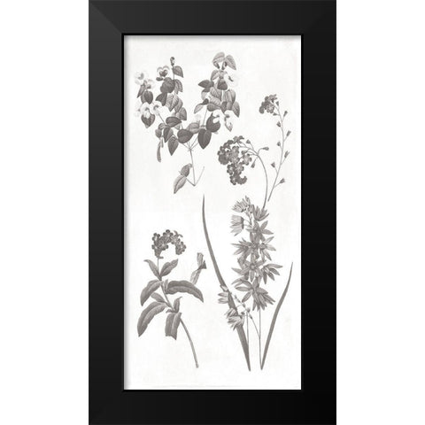 Plants Black Modern Wood Framed Art Print by Grey, Jace