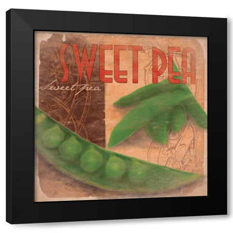 Sweet Pea Black Modern Wood Framed Art Print by Grey, Jace