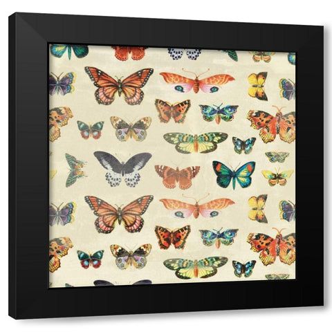 Butterfly 2 Black Modern Wood Framed Art Print with Double Matting by Grey, Jace