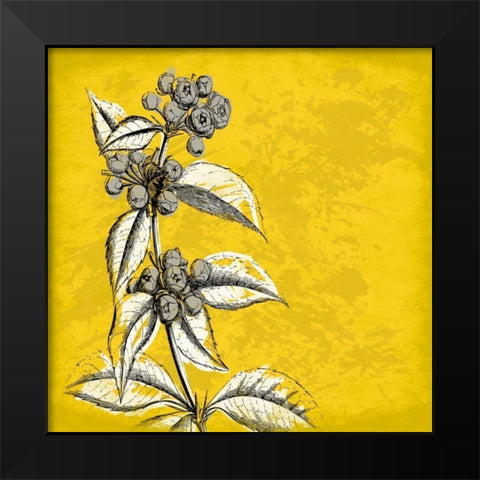 Flowers 3 Black Modern Wood Framed Art Print by Grey, Jace