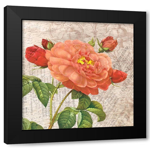 flowers Black Modern Wood Framed Art Print with Double Matting by Grey, Jace