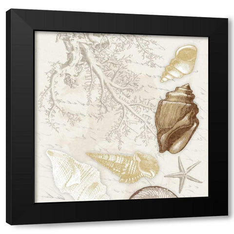 Shel 1 Black Modern Wood Framed Art Print with Double Matting by Grey, Jace