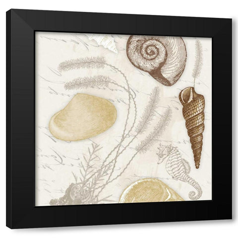 Shell 2 Black Modern Wood Framed Art Print with Double Matting by Grey, Jace