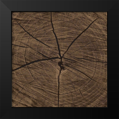 Dark Rings Black Modern Wood Framed Art Print by Grey, Jace