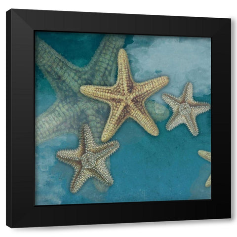 Starfish Black Modern Wood Framed Art Print by Grey, Jace