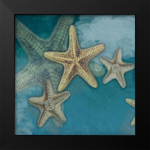 Starfish Black Modern Wood Framed Art Print by Grey, Jace