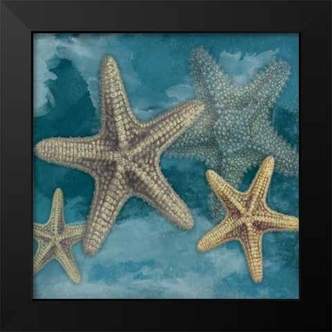 Starfish Black Modern Wood Framed Art Print by Grey, Jace