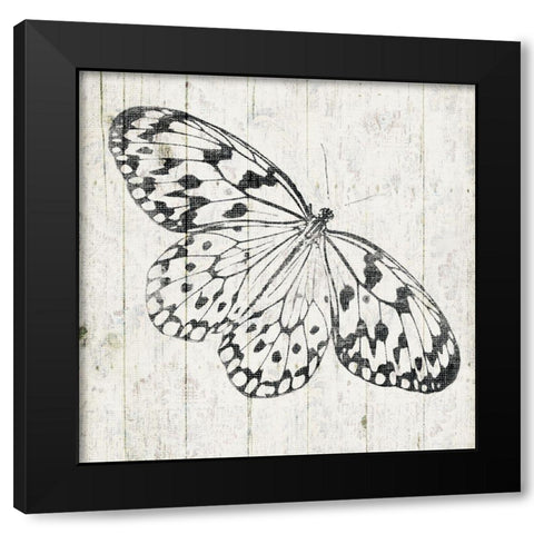 Butterfly Board Black Modern Wood Framed Art Print with Double Matting by Grey, Jace
