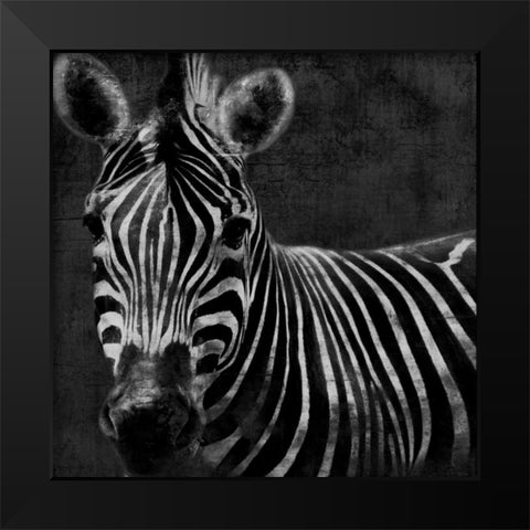 Zebra Black And White Black Modern Wood Framed Art Print by Grey, Jace
