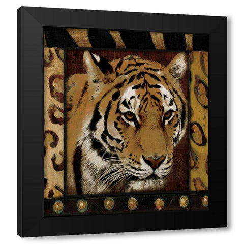 Tiger bordered Black Modern Wood Framed Art Print with Double Matting by Grey, Jace