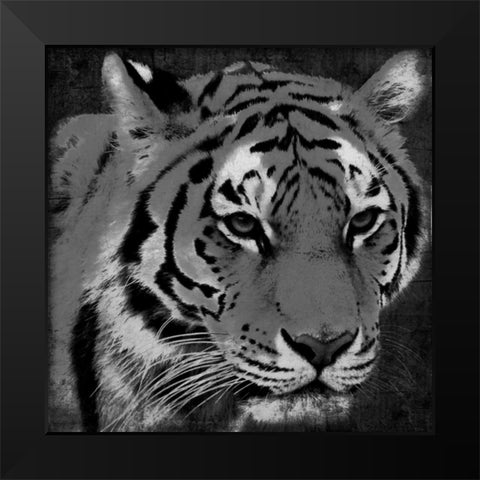 Tiger Black And White Black Modern Wood Framed Art Print by Grey, Jace