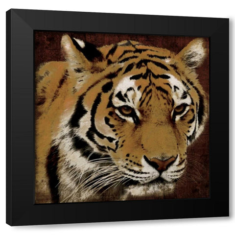 Tiger Black Modern Wood Framed Art Print by Grey, Jace