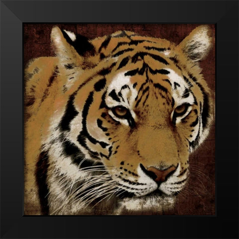 Tiger Black Modern Wood Framed Art Print by Grey, Jace
