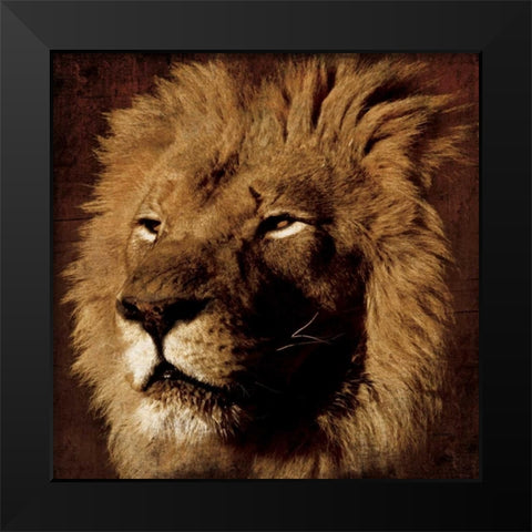 Lion Black Modern Wood Framed Art Print by Grey, Jace