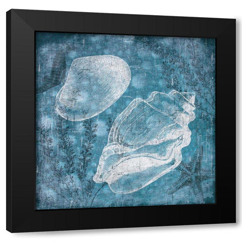 Shell Bubbles I Black Modern Wood Framed Art Print by Grey, Jace