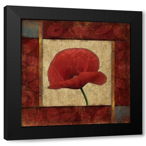 Red Poppie 1 Black Modern Wood Framed Art Print with Double Matting by Grey, Jace