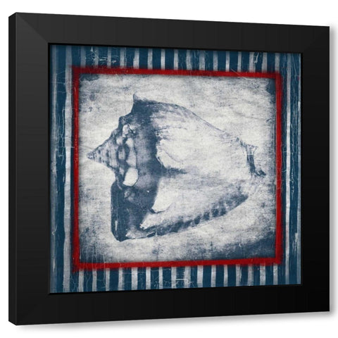 Coastal Shells Black Modern Wood Framed Art Print by Grey, Jace