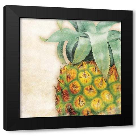 Tropical Pineapple Black Modern Wood Framed Art Print with Double Matting by Grey, Jace