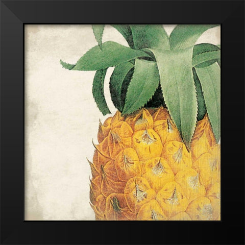 Pineapple Black Modern Wood Framed Art Print by Grey, Jace