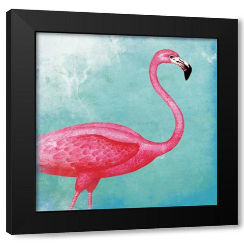 Tropical Flamingo 2 Black Modern Wood Framed Art Print with Double Matting by Grey, Jace