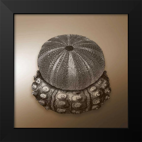 Nautical  epia Black Modern Wood Framed Art Print by Grey, Jace