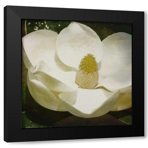 MAG Mate Black Modern Wood Framed Art Print with Double Matting by Grey, Jace