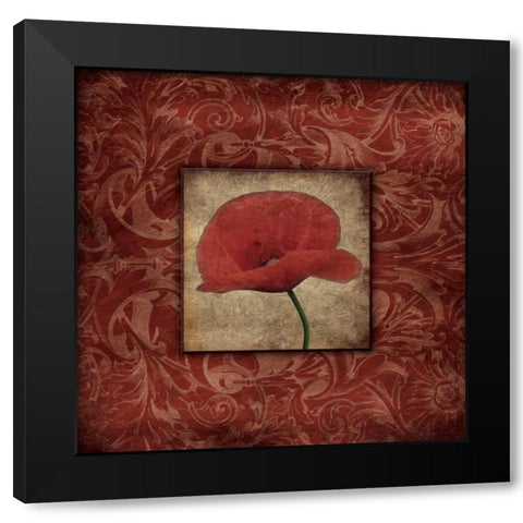 Poppie bordered Black Modern Wood Framed Art Print with Double Matting by Grey, Jace