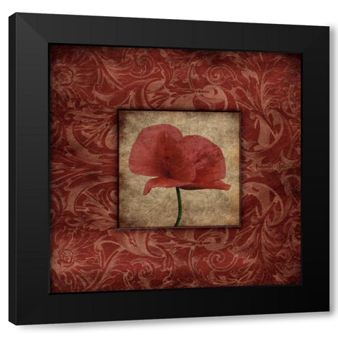 Poppie bordered mate Black Modern Wood Framed Art Print with Double Matting by Grey, Jace