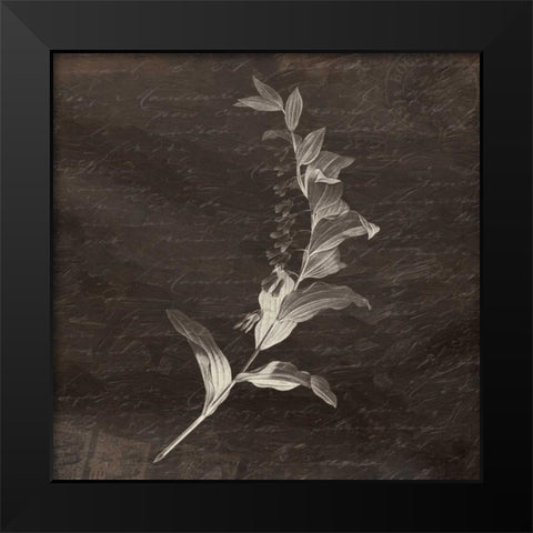 Brown Floral Mate Black Modern Wood Framed Art Print by Grey, Jace