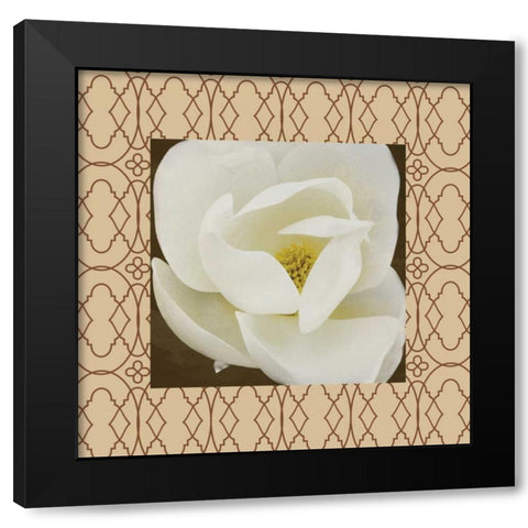 Brown floral border Black Modern Wood Framed Art Print with Double Matting by Grey, Jace