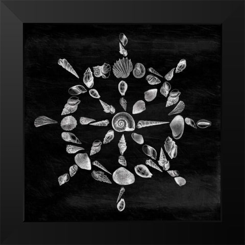 Shell Wheel Black Modern Wood Framed Art Print by Grey, Jace