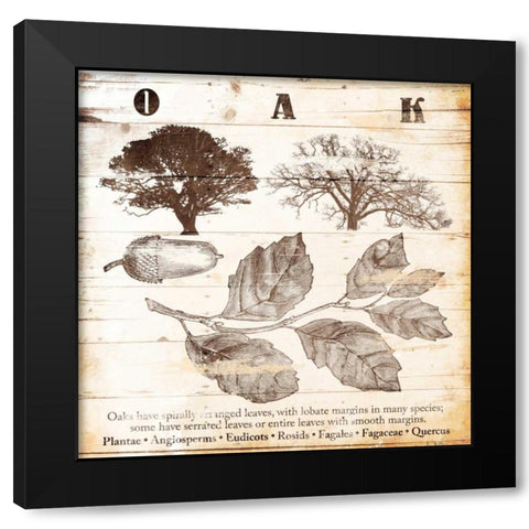 All About Oak Black Modern Wood Framed Art Print with Double Matting by Grey, Jace