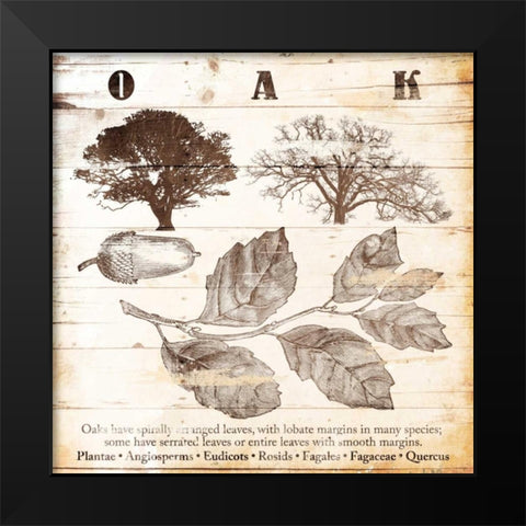 All About Oak Black Modern Wood Framed Art Print by Grey, Jace