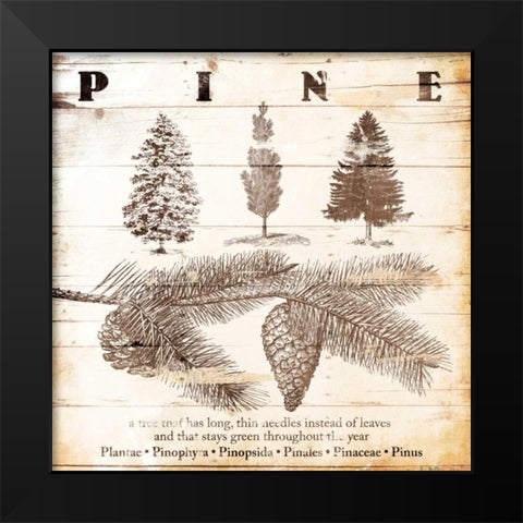 All About Pine Black Modern Wood Framed Art Print by Grey, Jace