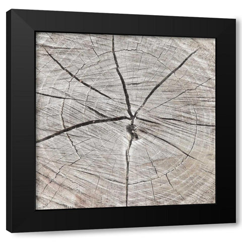 Tree Rings Black Modern Wood Framed Art Print by Grey, Jace