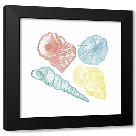 Soft Color Shells Mate Black Modern Wood Framed Art Print with Double Matting by Grey, Jace