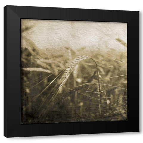 Wheat Fields Mate Black Modern Wood Framed Art Print by Grey, Jace
