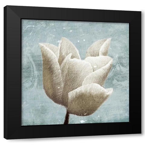 Light calm Black Modern Wood Framed Art Print by Grey, Jace