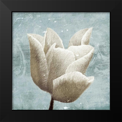 Light calm Black Modern Wood Framed Art Print by Grey, Jace