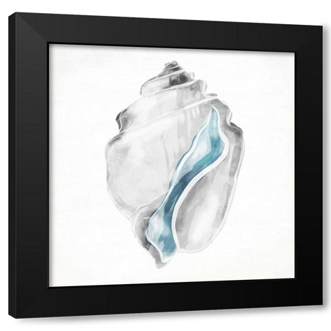 Soft Shell Black Modern Wood Framed Art Print with Double Matting by Grey, Jace
