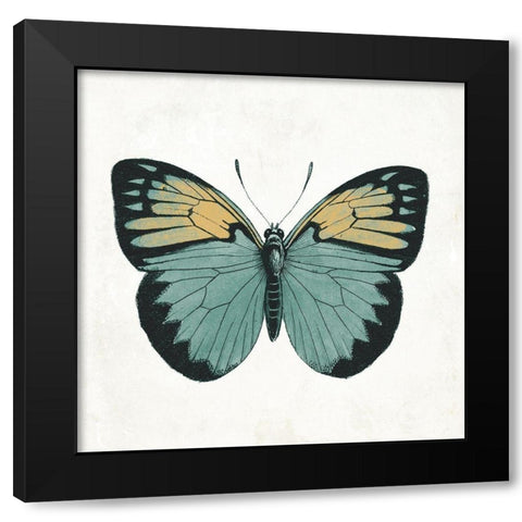 Neutral Butterfly 3 Black Modern Wood Framed Art Print with Double Matting by Grey, Jace