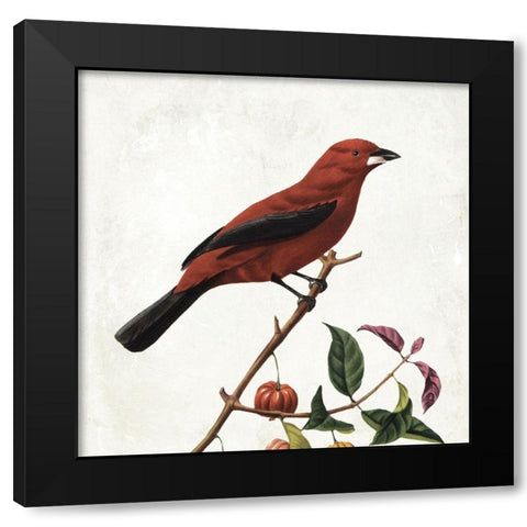 Lovely Birds Black Modern Wood Framed Art Print by Grey, Jace