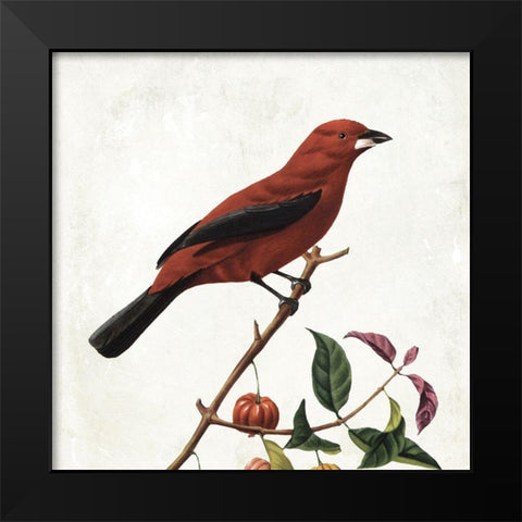 Lovely Birds Black Modern Wood Framed Art Print by Grey, Jace