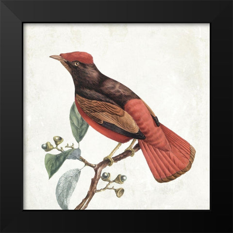 Lovely Birds 3 Black Modern Wood Framed Art Print by Grey, Jace