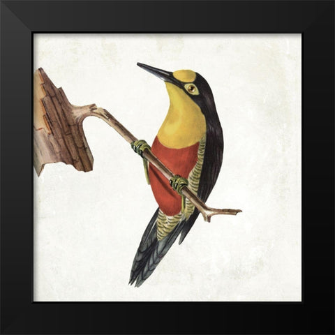 Lovely Birds 4 Black Modern Wood Framed Art Print by Grey, Jace