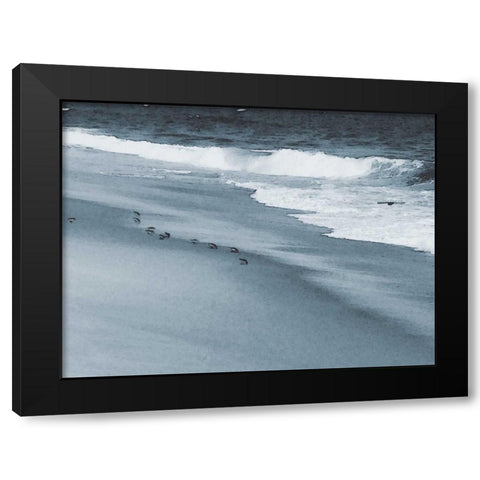 West Coastal Shore Black Modern Wood Framed Art Print by Pica, Jeff