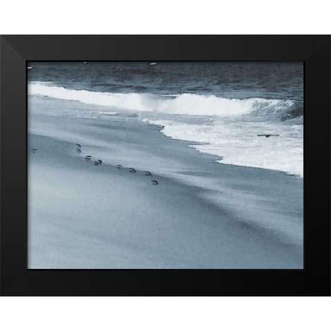 West Coastal Shore Black Modern Wood Framed Art Print by Pica, Jeff